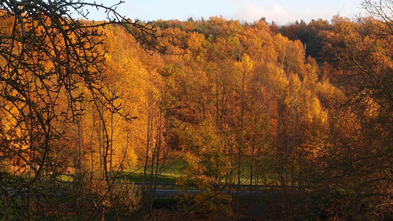 Ferienwohnung Und Pension "Zur Aue" Konigsbruck Buitenkant foto