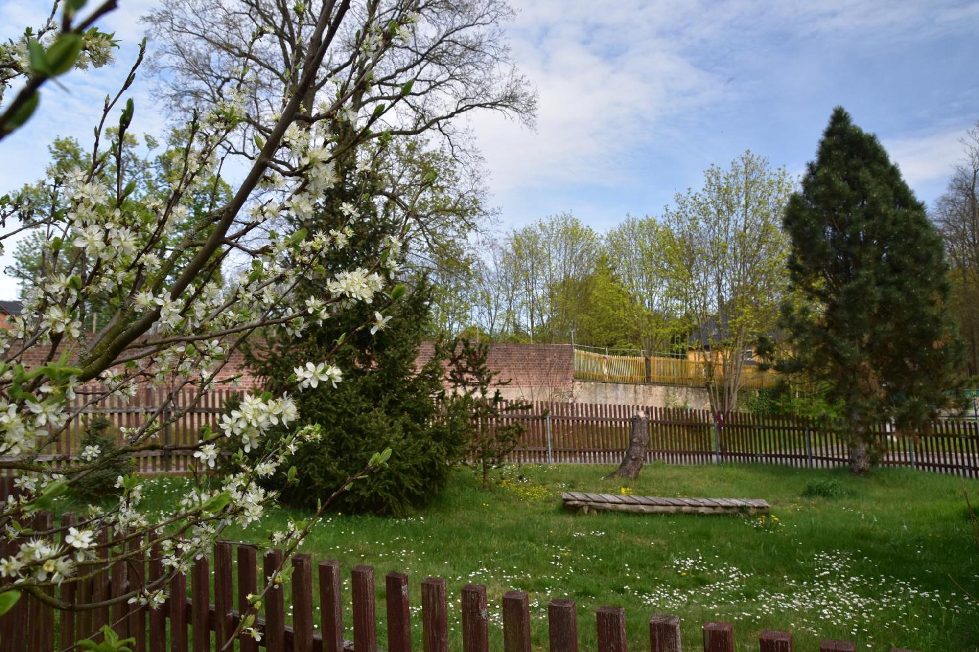 Ferienwohnung Und Pension "Zur Aue" Konigsbruck Buitenkant foto