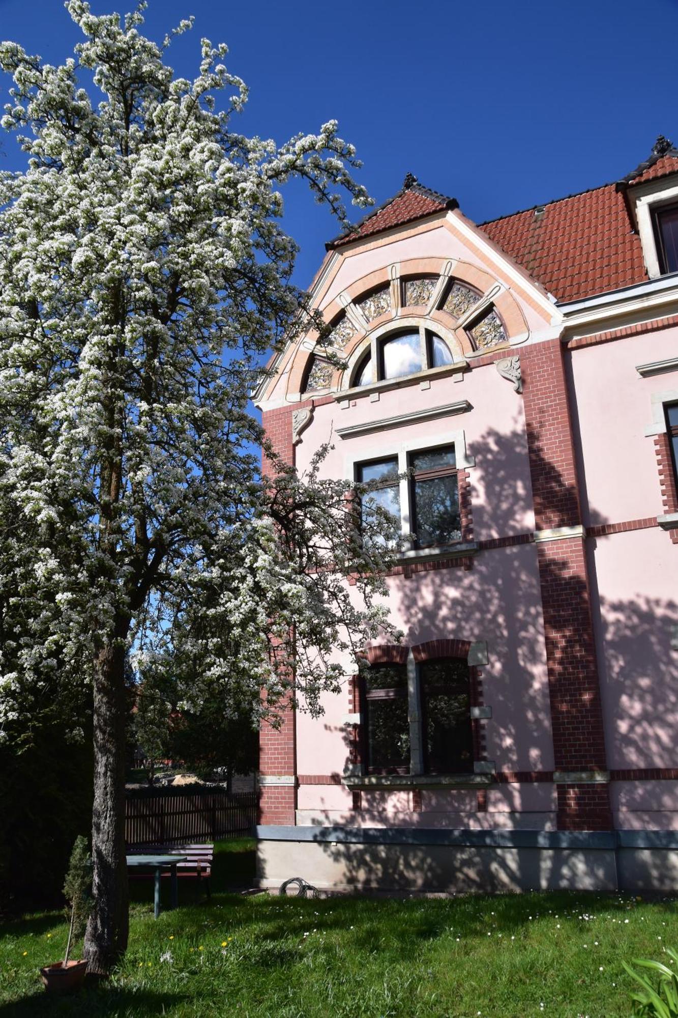 Ferienwohnung Und Pension "Zur Aue" Konigsbruck Buitenkant foto
