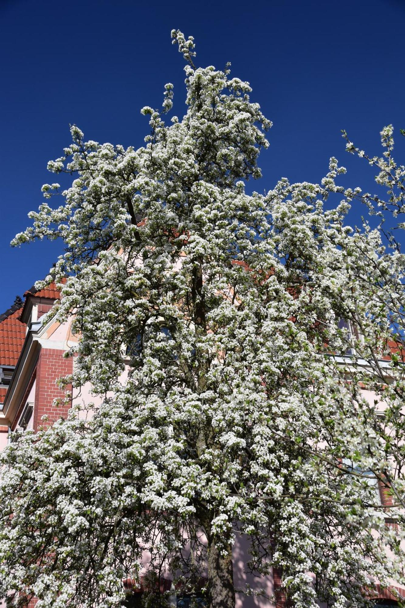 Ferienwohnung Und Pension "Zur Aue" Konigsbruck Buitenkant foto