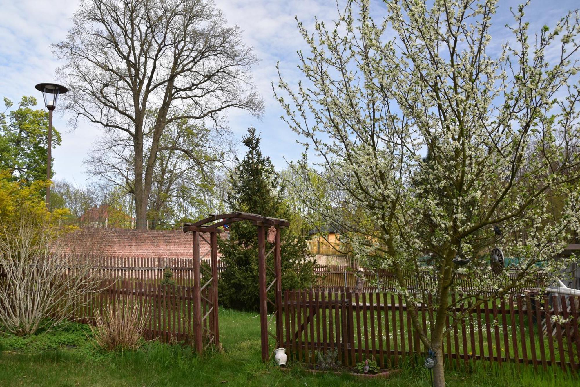 Ferienwohnung Und Pension "Zur Aue" Konigsbruck Buitenkant foto