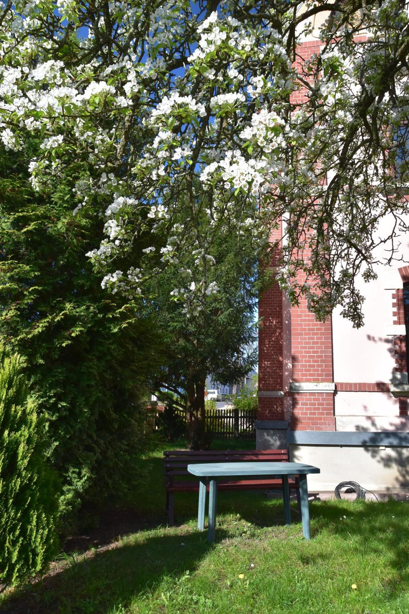 Ferienwohnung Und Pension "Zur Aue" Konigsbruck Buitenkant foto